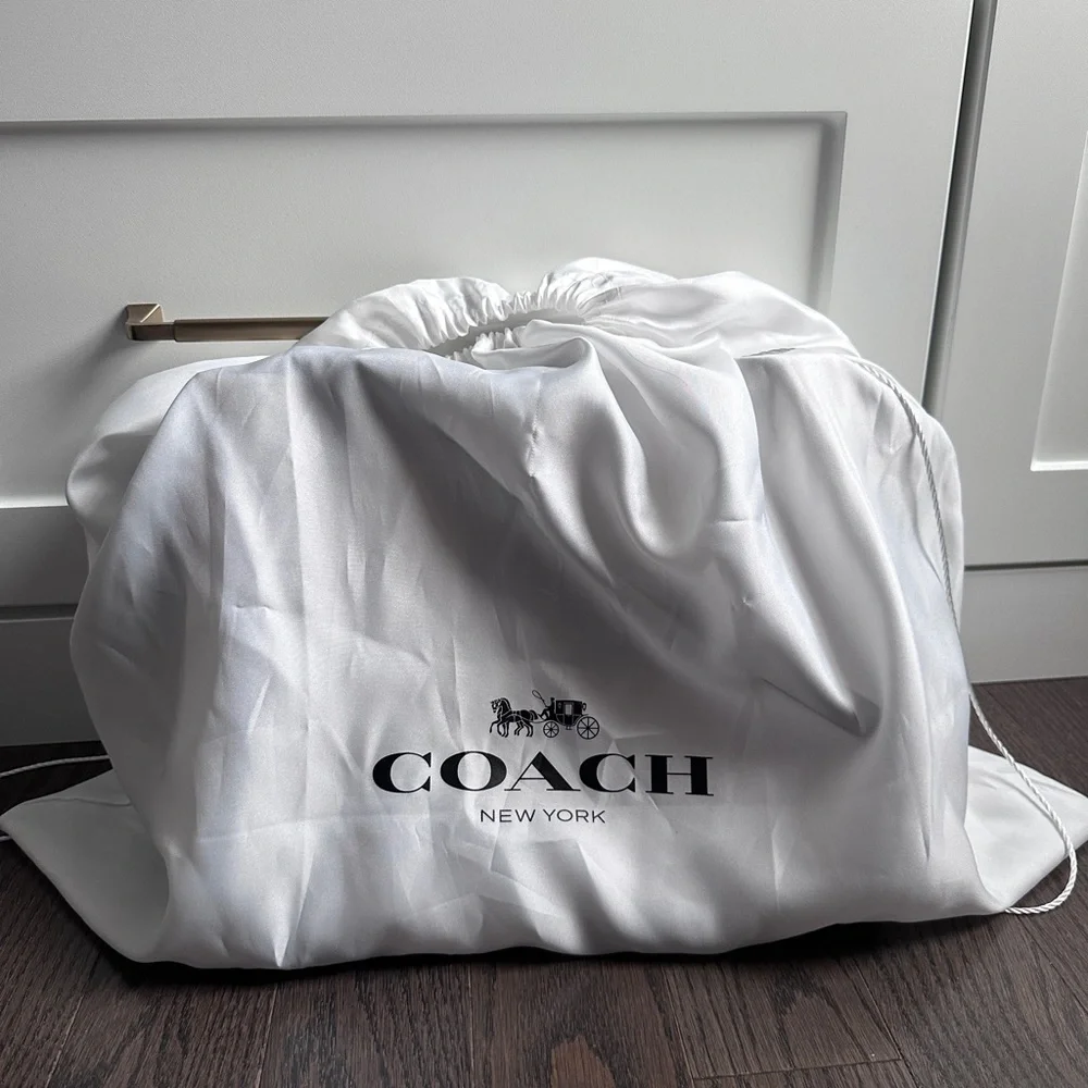 LIMITED EDITION Coach Rogue Bag / 1941 N2 RG-20315/  White with Dark Hardware - Picture 14 of 16